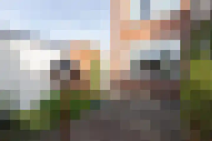 Piet Heinlaan 60 Winschoten thumbnail 37