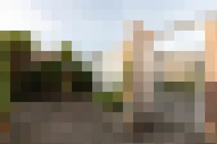 Piet Heinlaan 60 Winschoten thumbnail 38