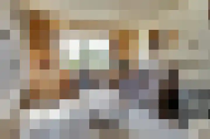 Piet Heinlaan 65 Harderwijk thumbnail 4