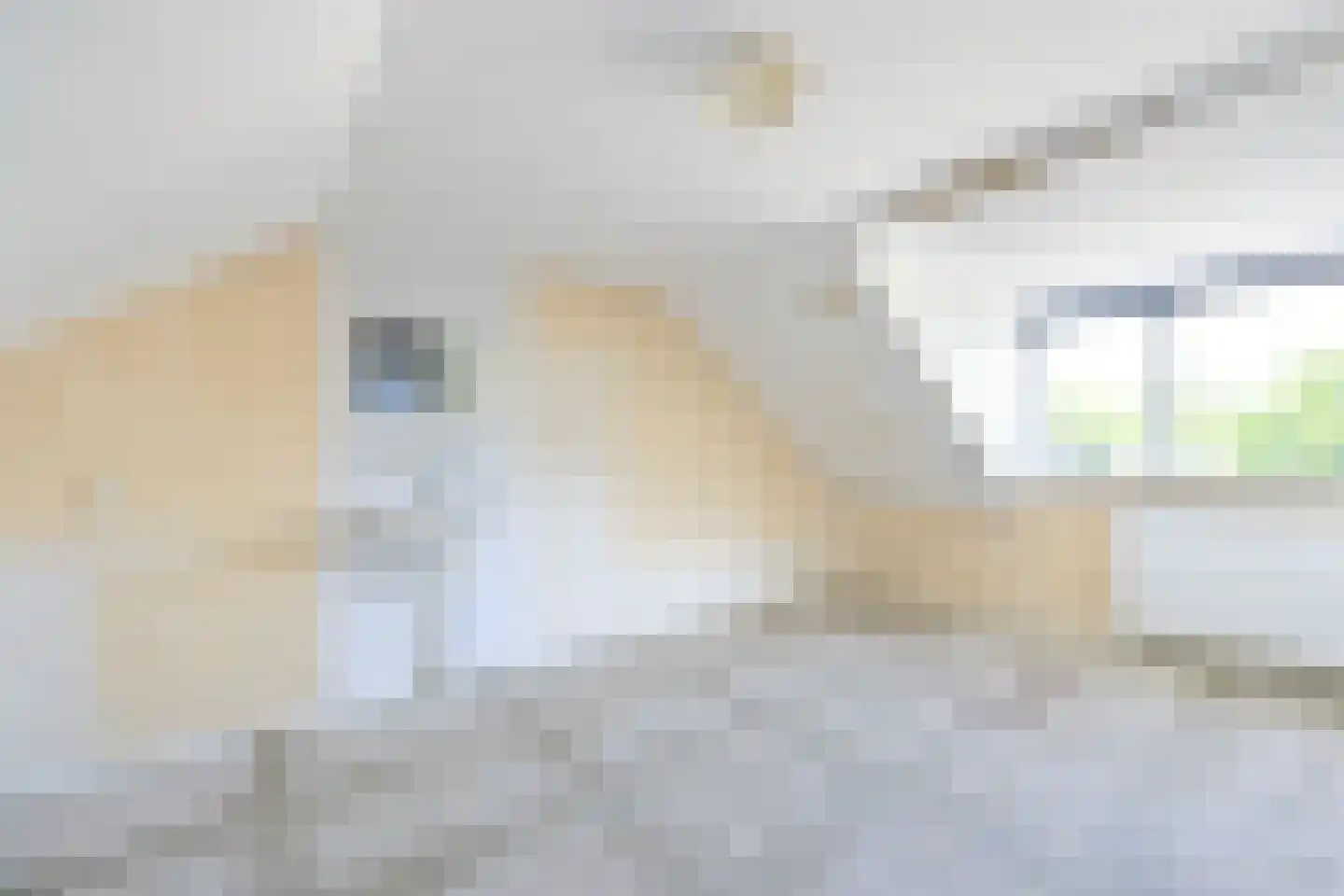 Piet Heinlaan 69 Castricum thumbnail 21