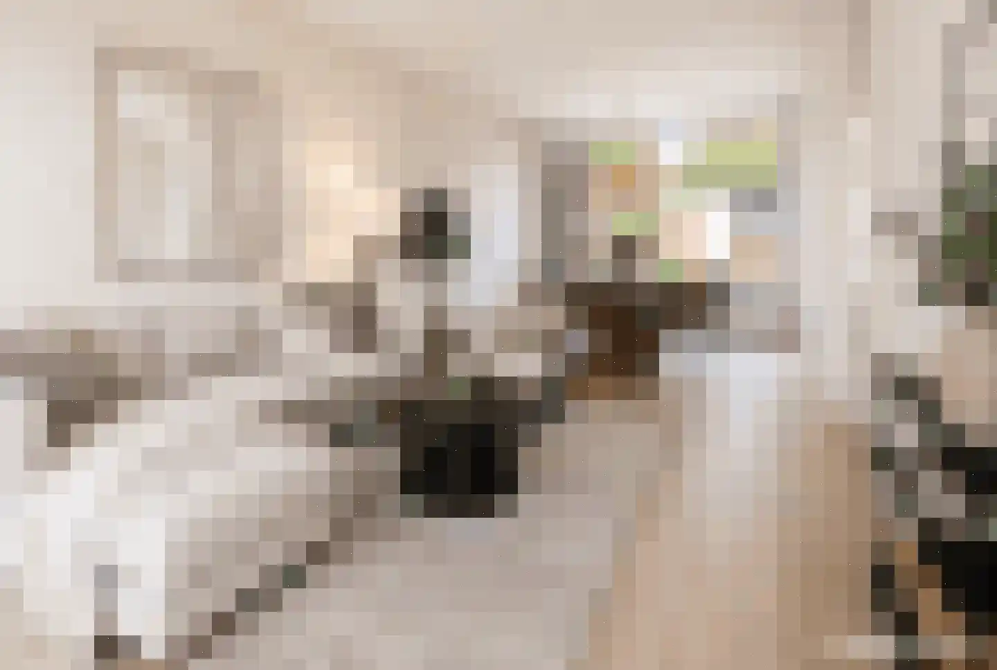 Piet Heinlaan 69 Castricum thumbnail 4