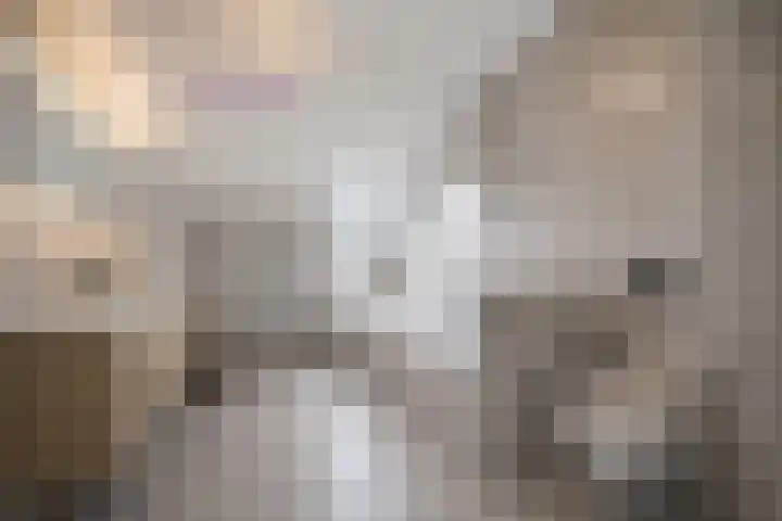 Piet Heinlaan 8 Bennebroek thumbnail 21