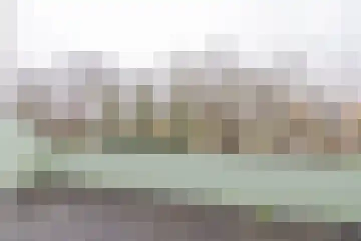 Piet Heinlaan 8 Bennebroek thumbnail 31