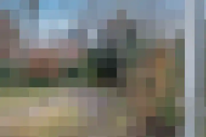 Piet Heinlaan 8 Bennebroek thumbnail 41