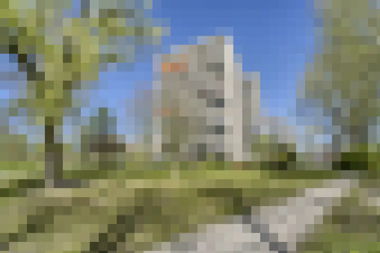 Piet Heinlaan 83 Katwijk thumbnail 32