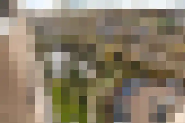 Piet Heinlaan 87 Katwijk thumbnail 27