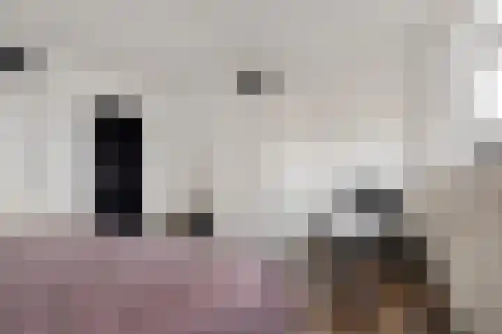 Piet Heinlaan 87 Katwijk thumbnail 30