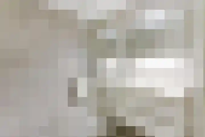 Piet Heinlaan 89 Katwijk thumbnail 4