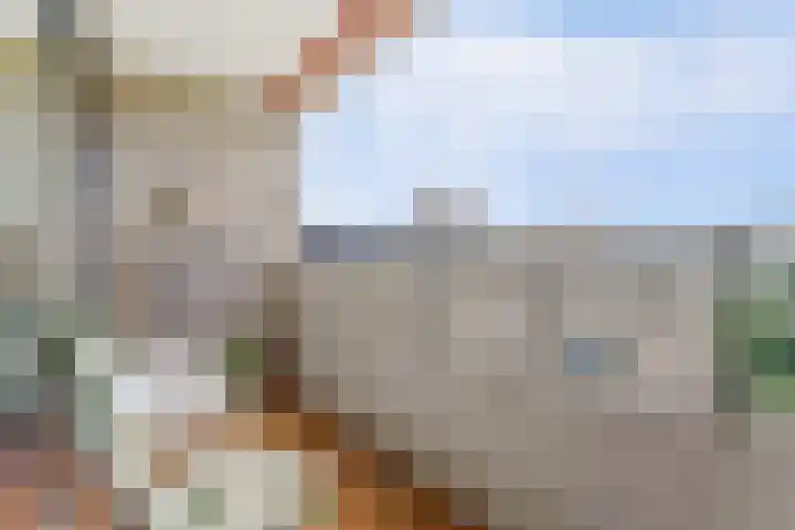 Piet Heinlaan 89 Katwijk thumbnail 42
