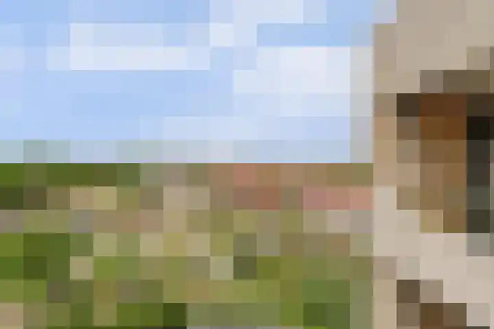 Piet Heinlaan 89 Katwijk thumbnail 47