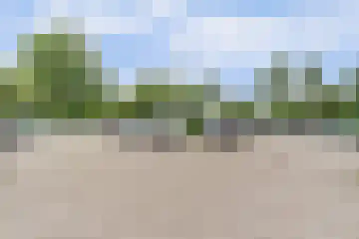Piet Heinlaan 89 Katwijk thumbnail 49