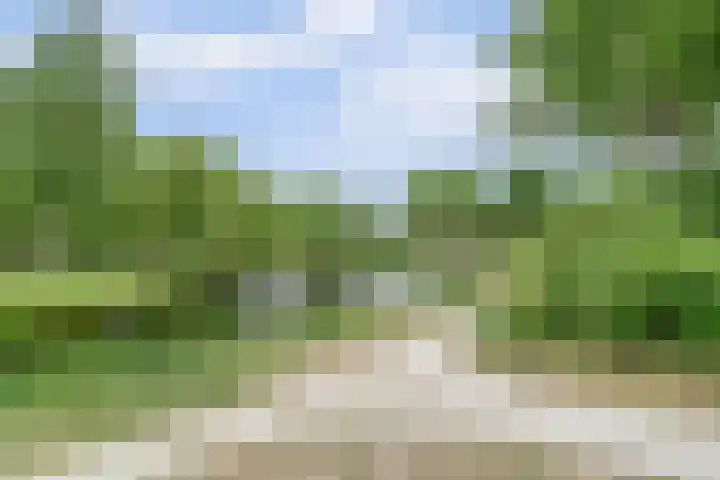 Piet Heinlaan 89 Katwijk thumbnail 51