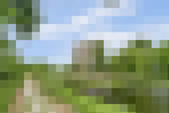 Piet Heinlaan 89 Katwijk thumbnail 54