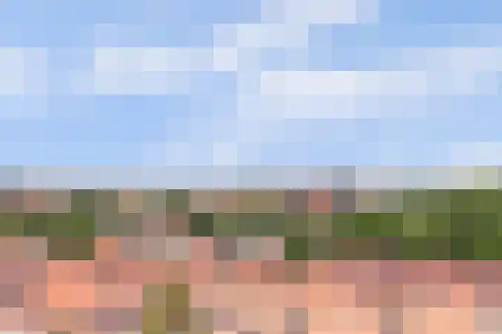 Piet Heinlaan 89 Katwijk thumbnail 57