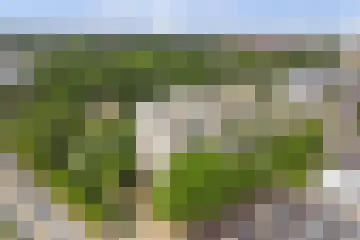 Piet Heinlaan 89 Katwijk thumbnail 59