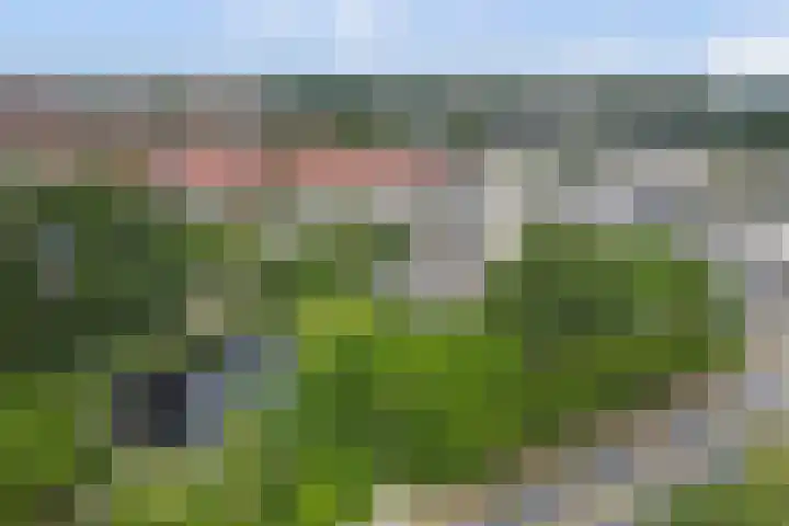 Piet Heinlaan 89 Katwijk thumbnail 62