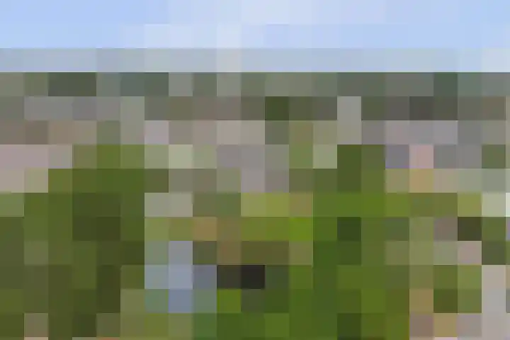 Piet Heinlaan 89 Katwijk thumbnail 63