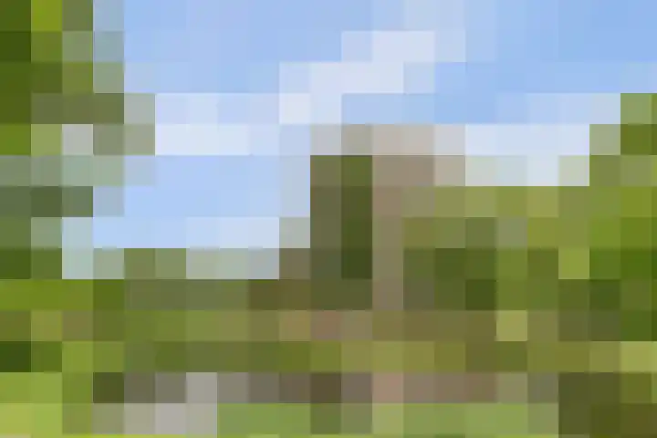 Piet Heinlaan 89 Katwijk thumbnail 7
