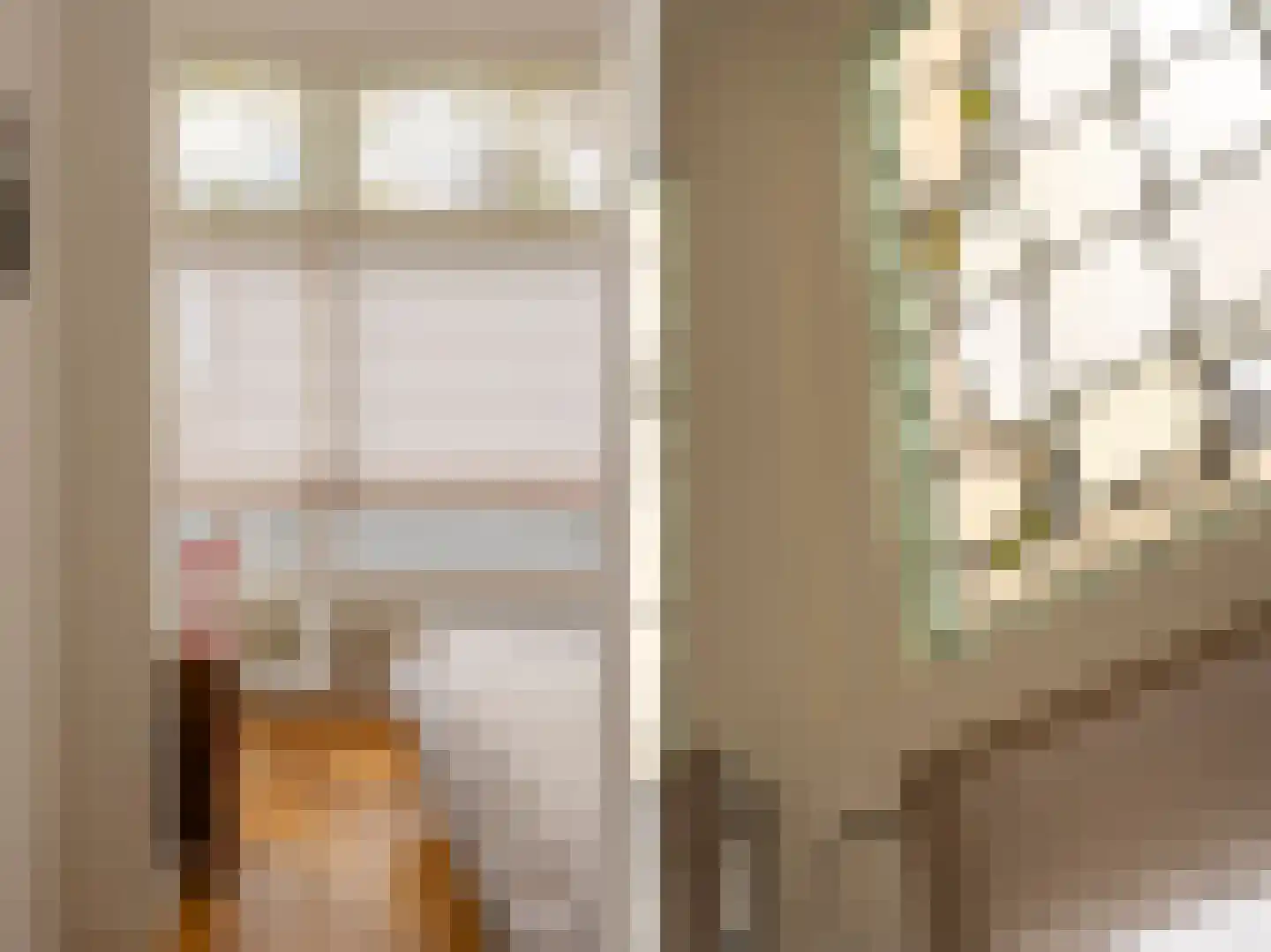 Piet Heinplein 1 A Den Haag thumbnail 17