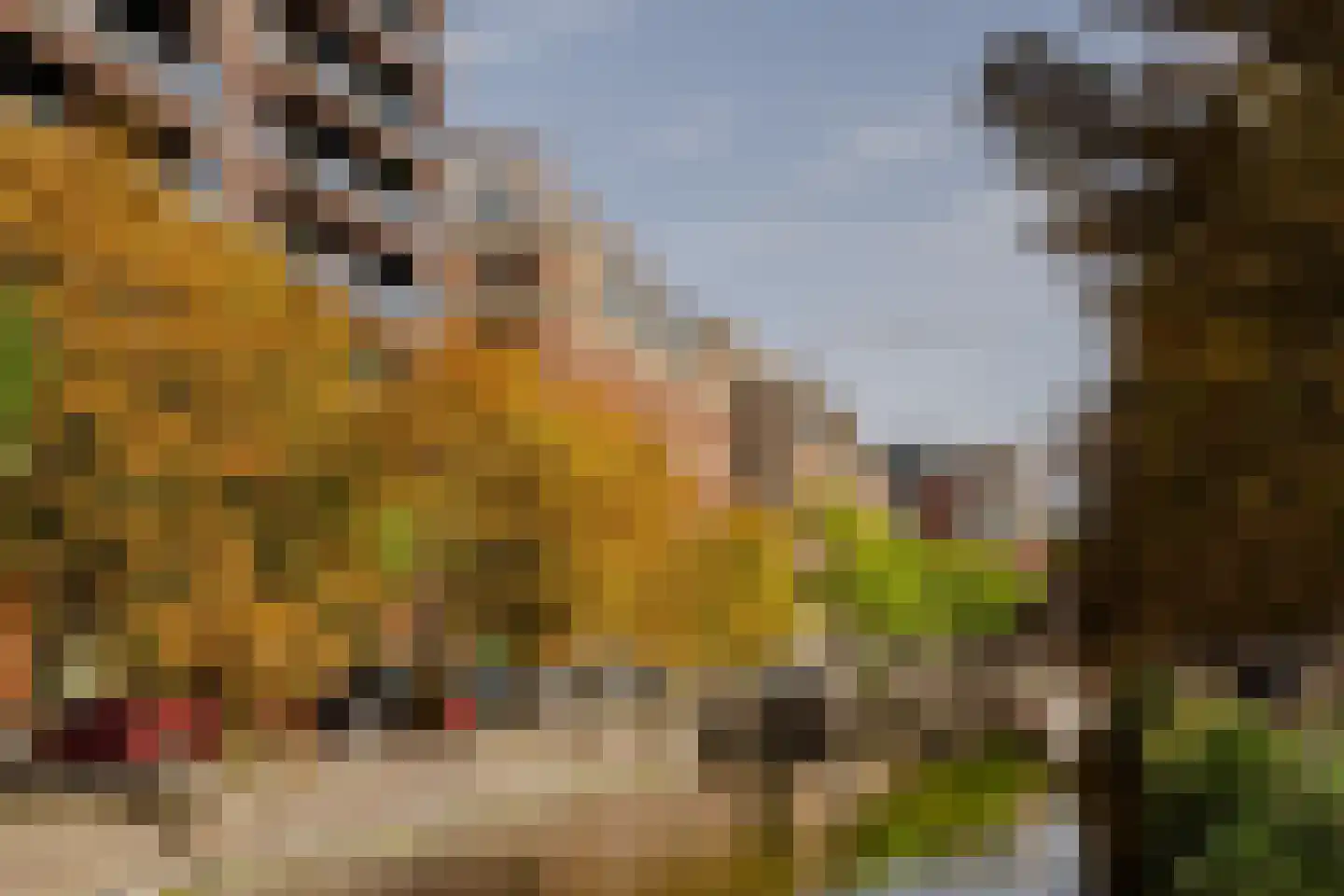 Piet Heinplein 1 A Den Haag thumbnail 31