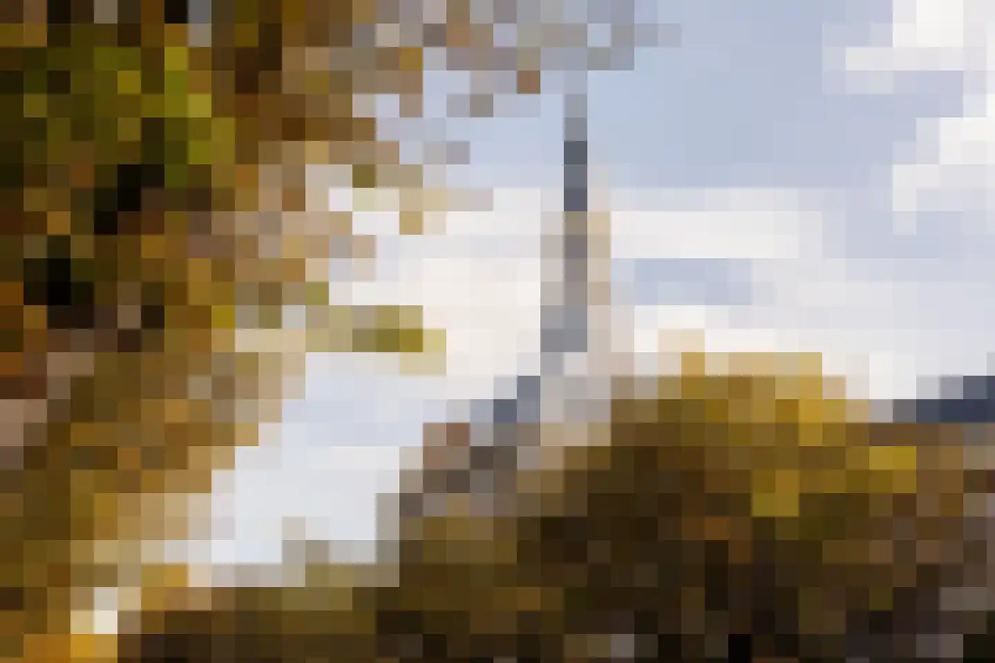 Piet Heinplein 1 A Den Haag thumbnail 32