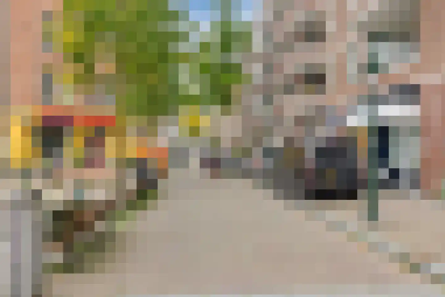 Piet Heinplein 113 Den Haag thumbnail 26