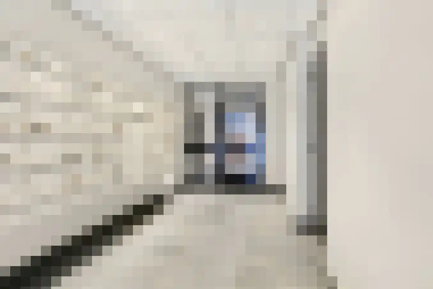Piet Heinplein 113 Den Haag thumbnail 9