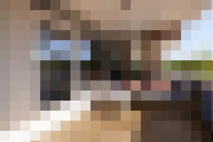 Piet Heinplein 53 Den Haag thumbnail 33