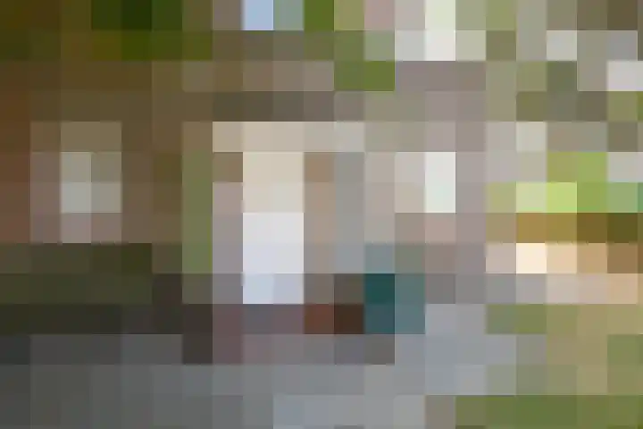 Piet Heinplein 8 Noordwijk thumbnail 11