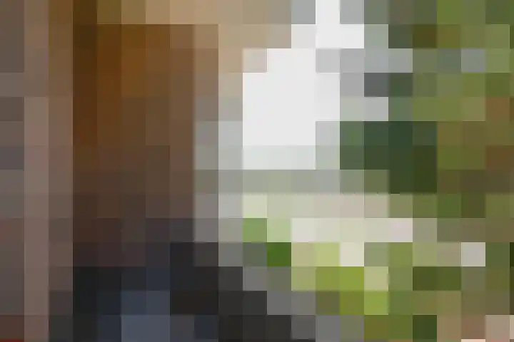 Piet Heinplein 8 Noordwijk thumbnail 40