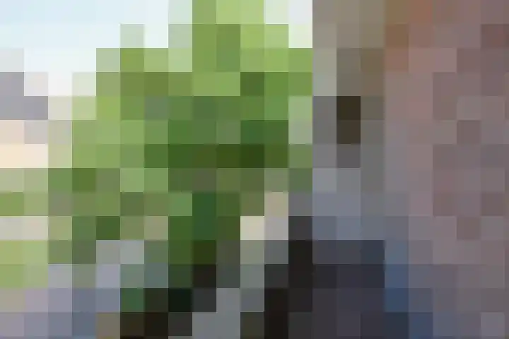 Piet Heinplein 8 Noordwijk thumbnail 41