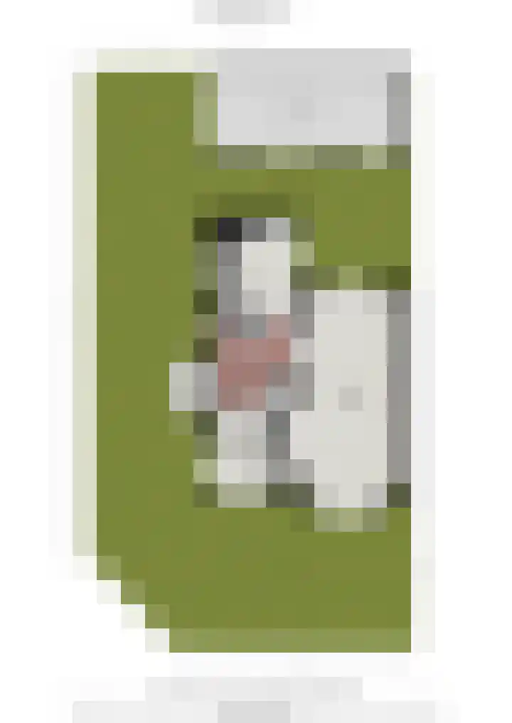 Piet Heinplein 8 Noordwijk thumbnail 66