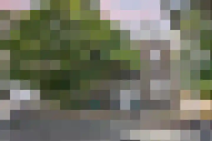 Piet Heinplein 8 Noordwijk thumbnail 70