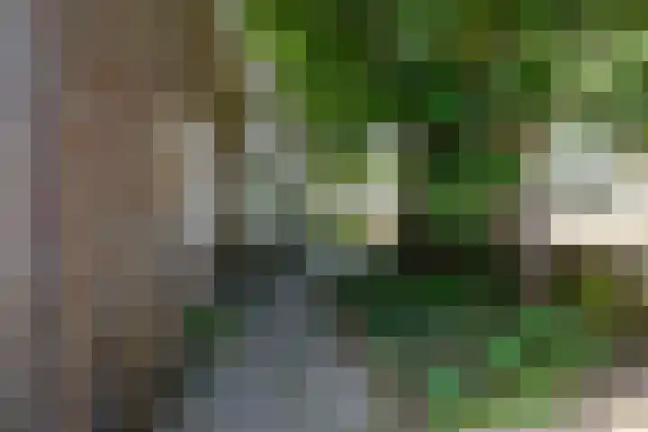 Piet Heinplein 8 Noordwijk thumbnail 8