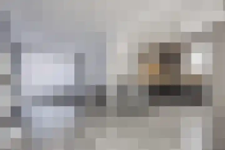 Piet Heinshof 12 Best thumbnail 13