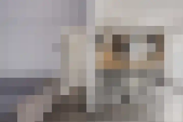 Piet Heinshof 12 Best thumbnail 14