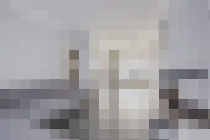 Piet Heinshof 12 Best thumbnail 15