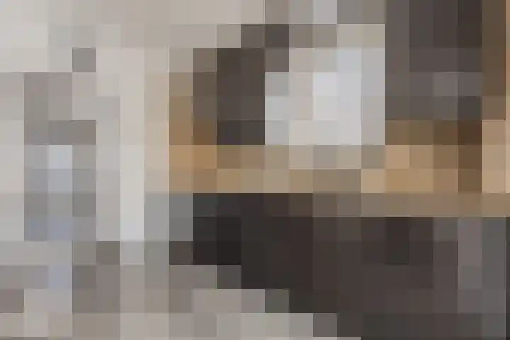 Piet Heinshof 12 Best thumbnail 16