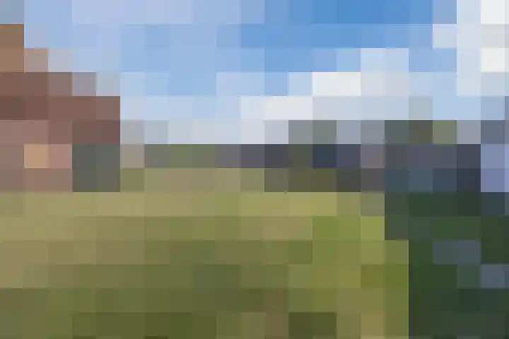 Piet Heinshof 12 Best thumbnail 35