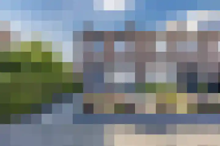 Piet Heinshof 12 Best thumbnail 7