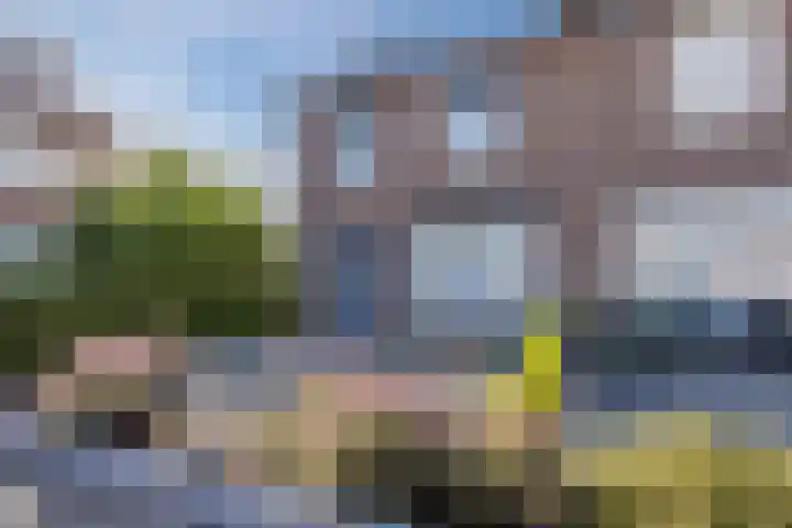 Piet Heinshof 12 Best thumbnail 8