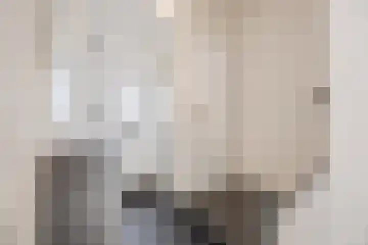 Piet Heinshof 12 Best thumbnail 9