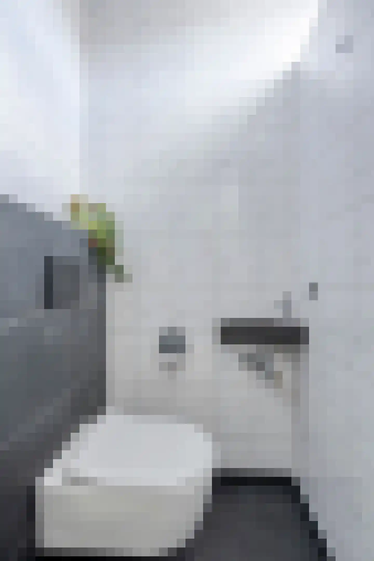 Piet Heinshof 4 Best thumbnail 10
