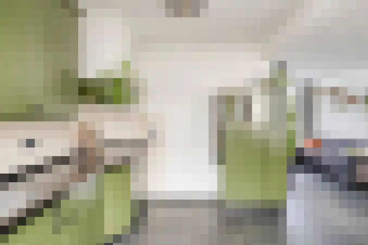 Piet Heinshof 4 Best thumbnail 15