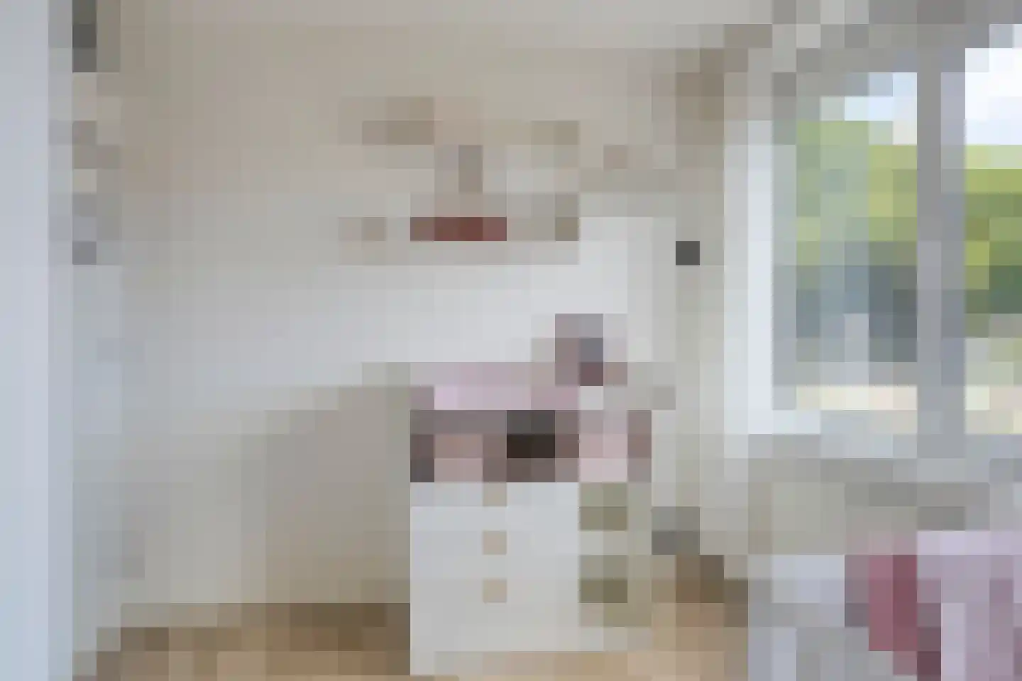 Piet Heinshof 4 Best thumbnail 23