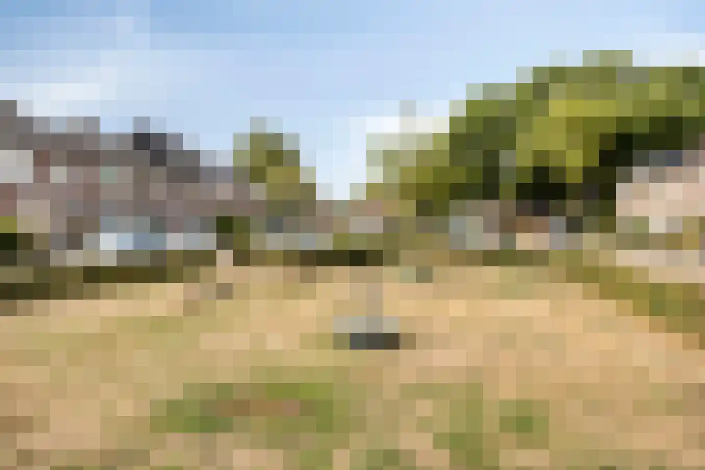 Piet Heinshof 4 Best thumbnail 7