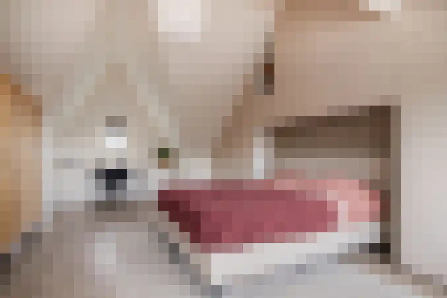 Piet Heinstraat 1 A Amersfoort thumbnail 28