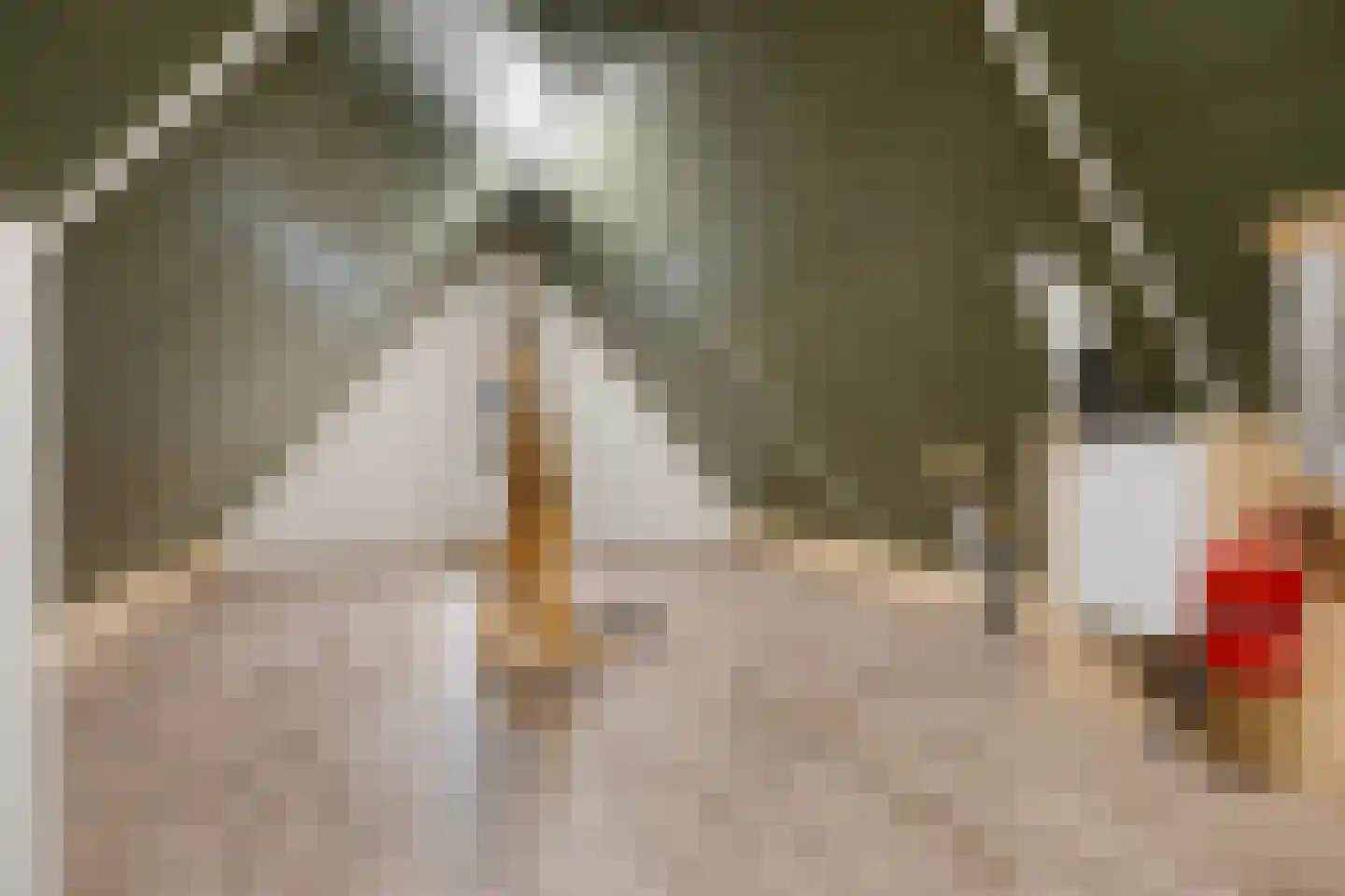 Piet Heinstraat 1 a Bunschoten-Spakenburg thumbnail 34