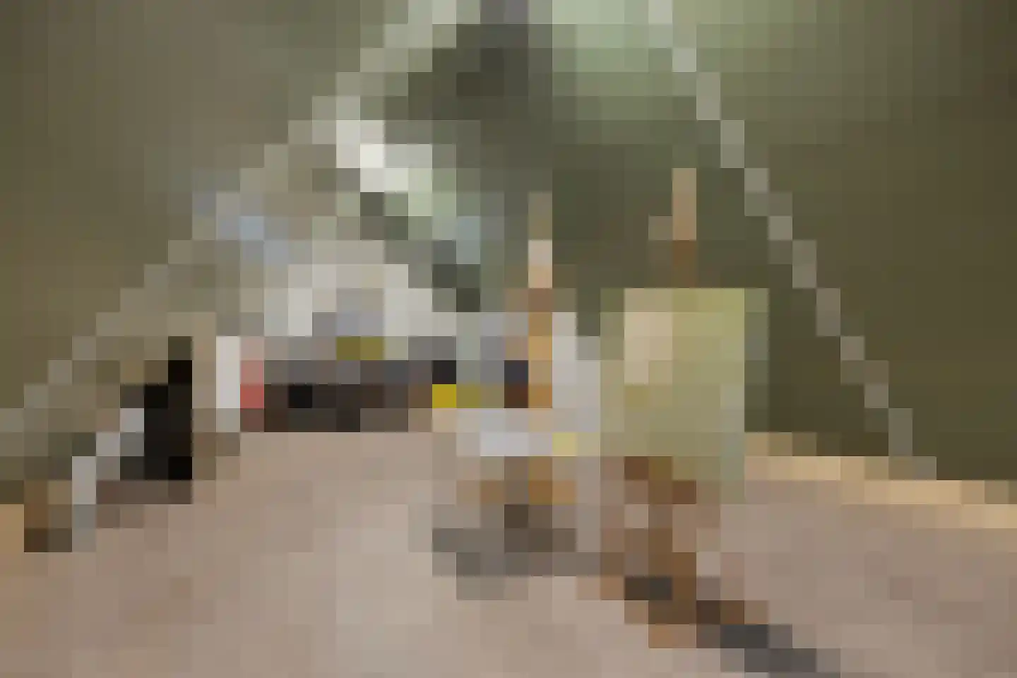Piet Heinstraat 1 a Bunschoten-Spakenburg thumbnail 35