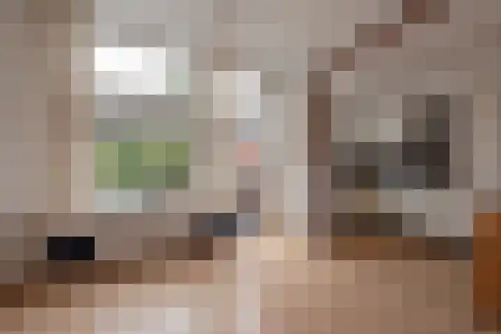 Piet Heinstraat 1 B Delft thumbnail 14